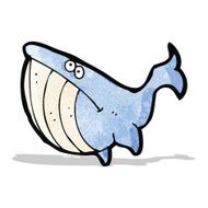 Cartoon Whale N23
