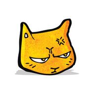 cartoon annoyed cat