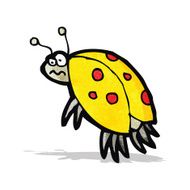 Cartoon Ladybug N15