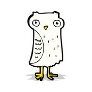 Cartoon Little Owl N3
