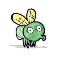 Cartoon Fly N11