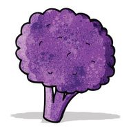 purple sprouting brocolli cartoon N2