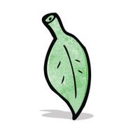 Cartoon Leaf N5