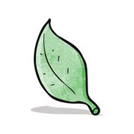 Cartoon Leaf N6