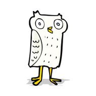 Cartoon Little Owl N4