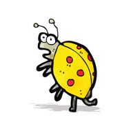 cartoon bug N11