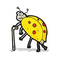 cartoon old bug