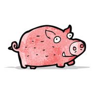 Cartoon Pig N33