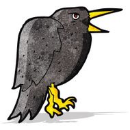 Cartoon Crow N8