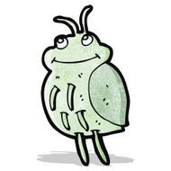 funny cartoon bug