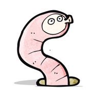 funny cartoon worm