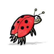 Cartoon Ladybug N20