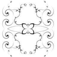 Vector Elegant background with lace ornament N41