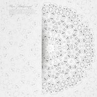 Vector Elegant background with lace ornament N47