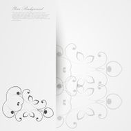 Vector Elegant background with lace ornament N57