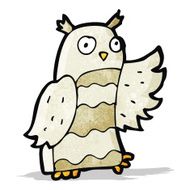 Cartoon Owl N35
