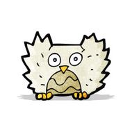Cartoon Little Owl N5