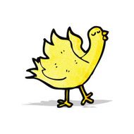 Cartoon Bird N25