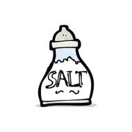 Cartoon Salt Shaker N19