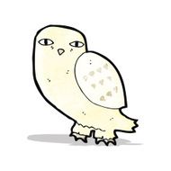 Cartoon Owl N39