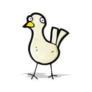 Cartoon Bird N26