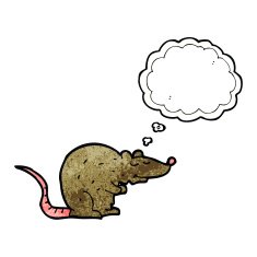 cartoon rat with thought bubble N6