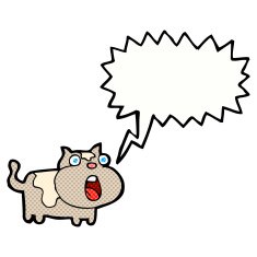 cartoon shocked cat with speech bubble N12