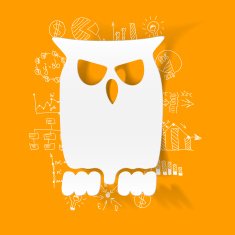 Drawing business formulas owl N16