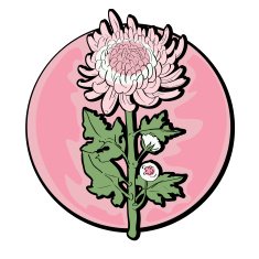 Chrysanthemum Clip Art N10