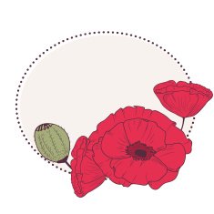 Red poppy flowers retro frame