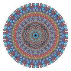 vector vintage ornament N4