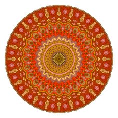 vector decorative ornament N7