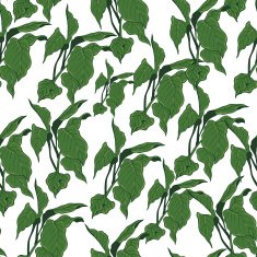 Green plant pattern 2