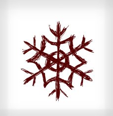 Snowflake N2