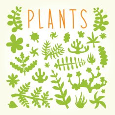 Hand drawn doodle plants