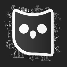 Drawing business formulas owl N18