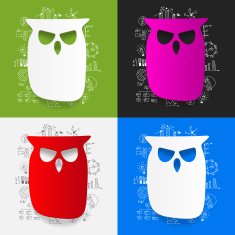 Drawing business formulas owl N19