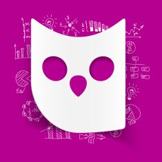 Drawing business formulas owl N21