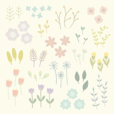 Isolated floral elements