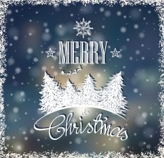 christmas card N43