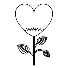 love design N14