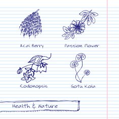 Handdrawn Illustration - Health and Nature Set N15