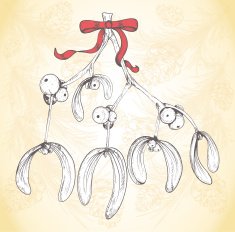 hand drawn christmas mistletoe branch with red bow