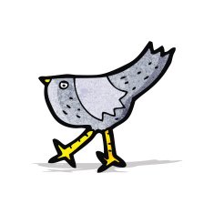Cartoon Bird N19