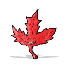 red maple leaf cartoon character