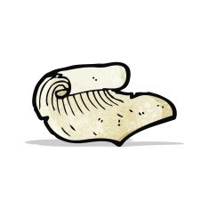 cartoon old scroll