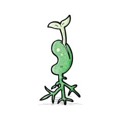 cartoon seedling N4
