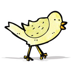 Cartoon Bird N21
