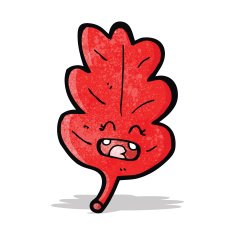 red leaf cartoon character N2