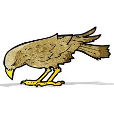 Cartoon Bird N22